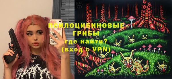 молекула духа Алексин