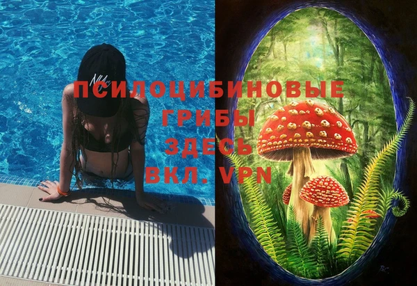 ешки Алексеевка