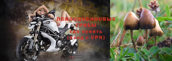ешки Алексеевка
