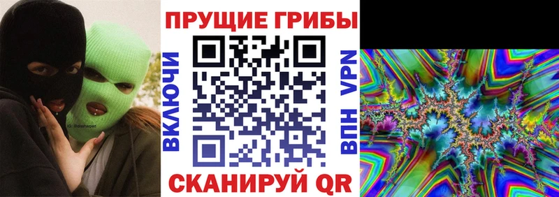 Псилоцибиновые грибы GOLDEN TEACHER  закладка  Слюдянка 